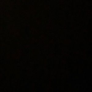 Meet your Posher, Moses